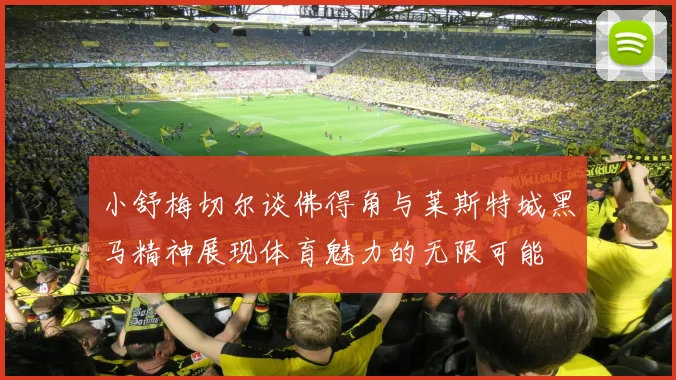 小舒梅切尔谈佛得角与莱斯特城黑马精神展现体育魅力的无限可能