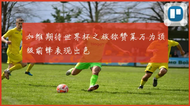 加维期待世界杯之旅称赞莱万为顶级前锋表现出色